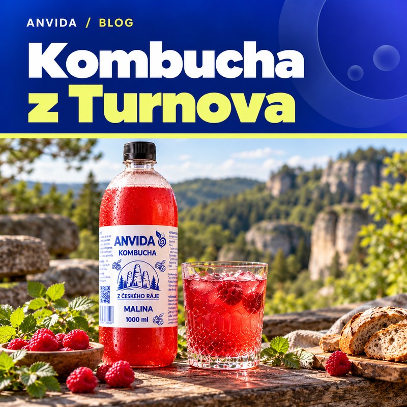 Kombucha z Turnova