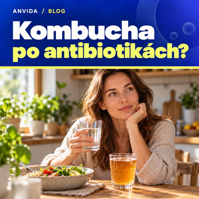 Kombucha po antibiotikách jak je to?