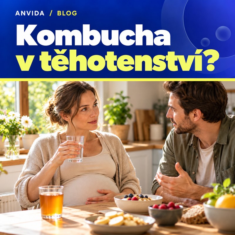 Může se pít kombucha v těhotenství?