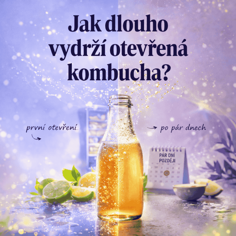 Kombucha po otevření: jak skladovat, jak dlouho vydrží a proč ztrácí perlivost