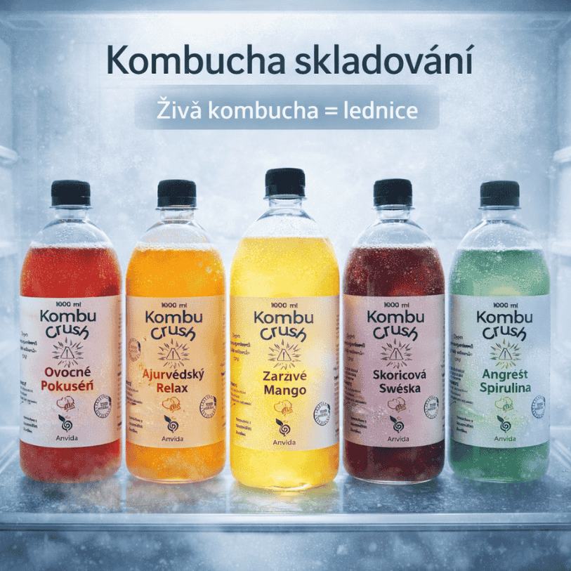 Kombucha skladování: jak uchovat živou kombuchu správně