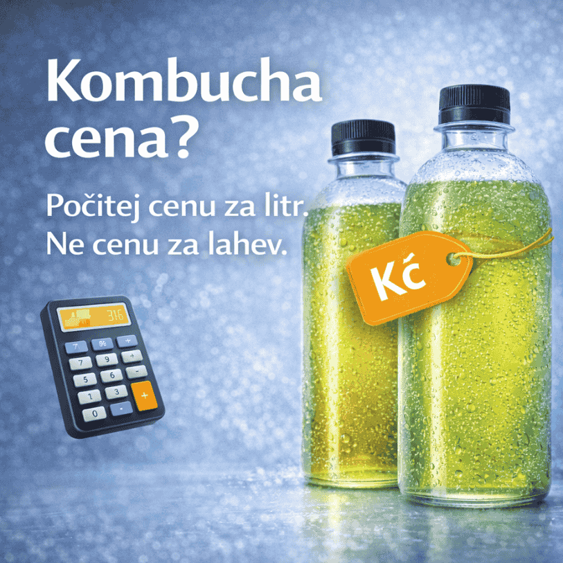 Kombucha nápoj cena: kolik stojí a kdy má smysl zaplatit víc