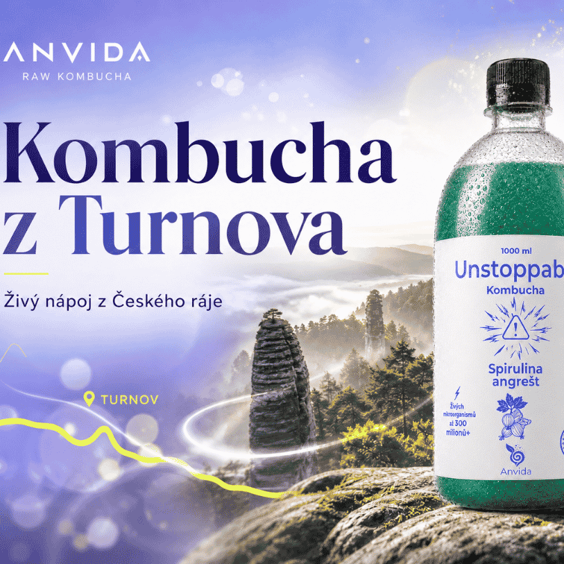 Kombucha z Turnova