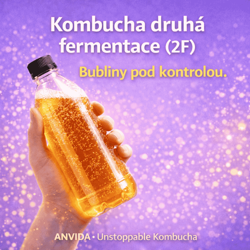 Kombucha druhá fermentace (2F): návod na perlení bez gejzíru