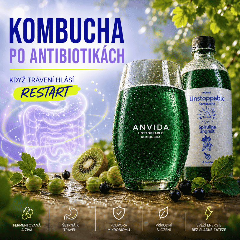 Kombucha po antibiotikách jak je to?