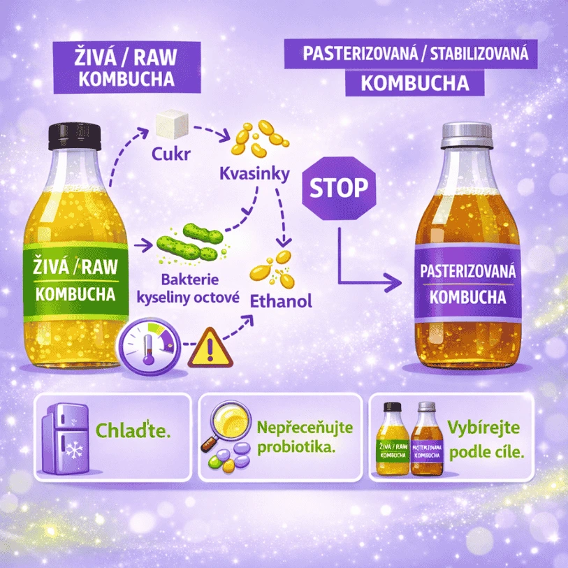 Živá vs pasterizovaná kombucha