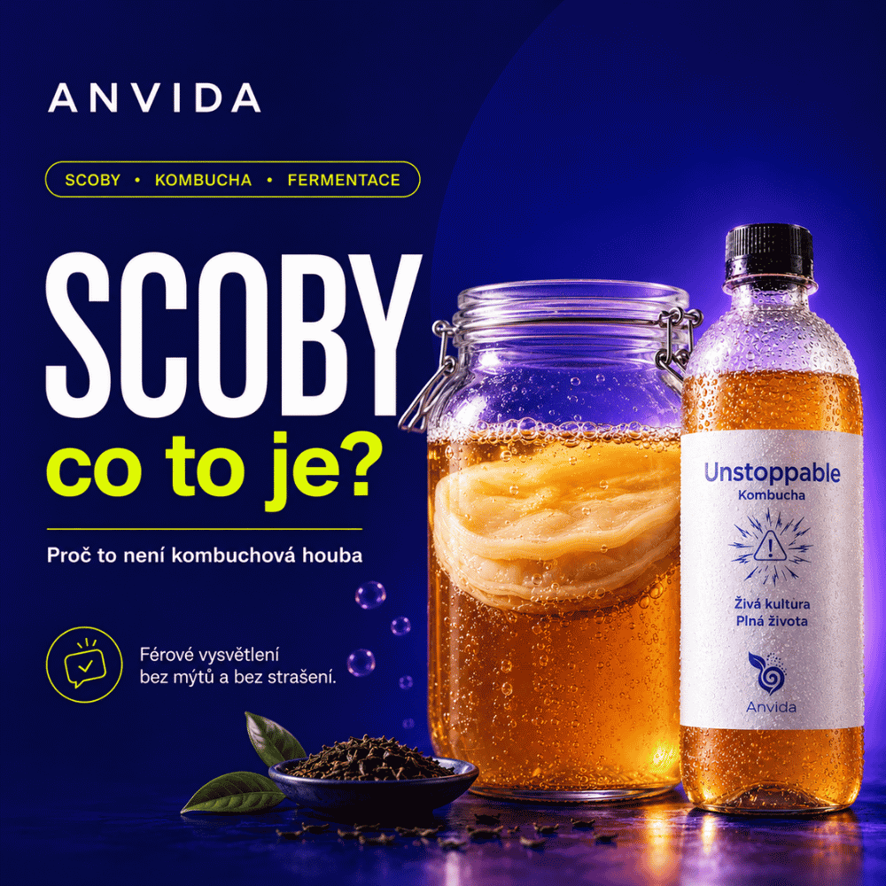SCOBY: co to je a proč to není kombuchová houba
