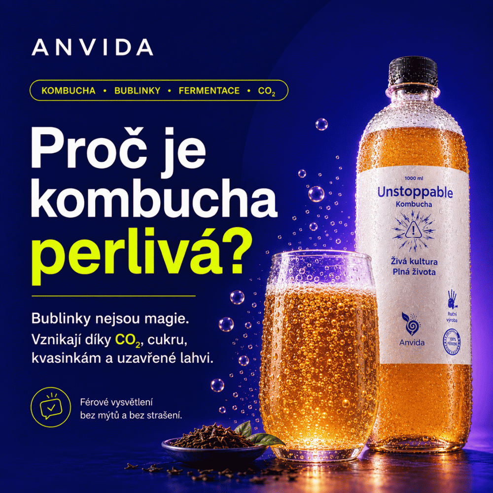 Proč je kombucha perlivá? Jak vznikají bublinky