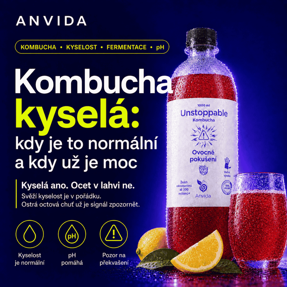 Kyselá kombucha: kdy je v pořádku a kdy už je moc