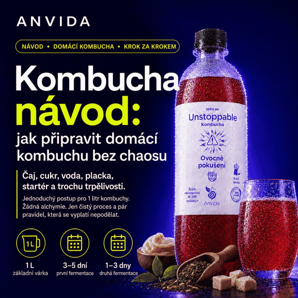 Kombucha návod: jak si ji vyrobit doma krok za krokem