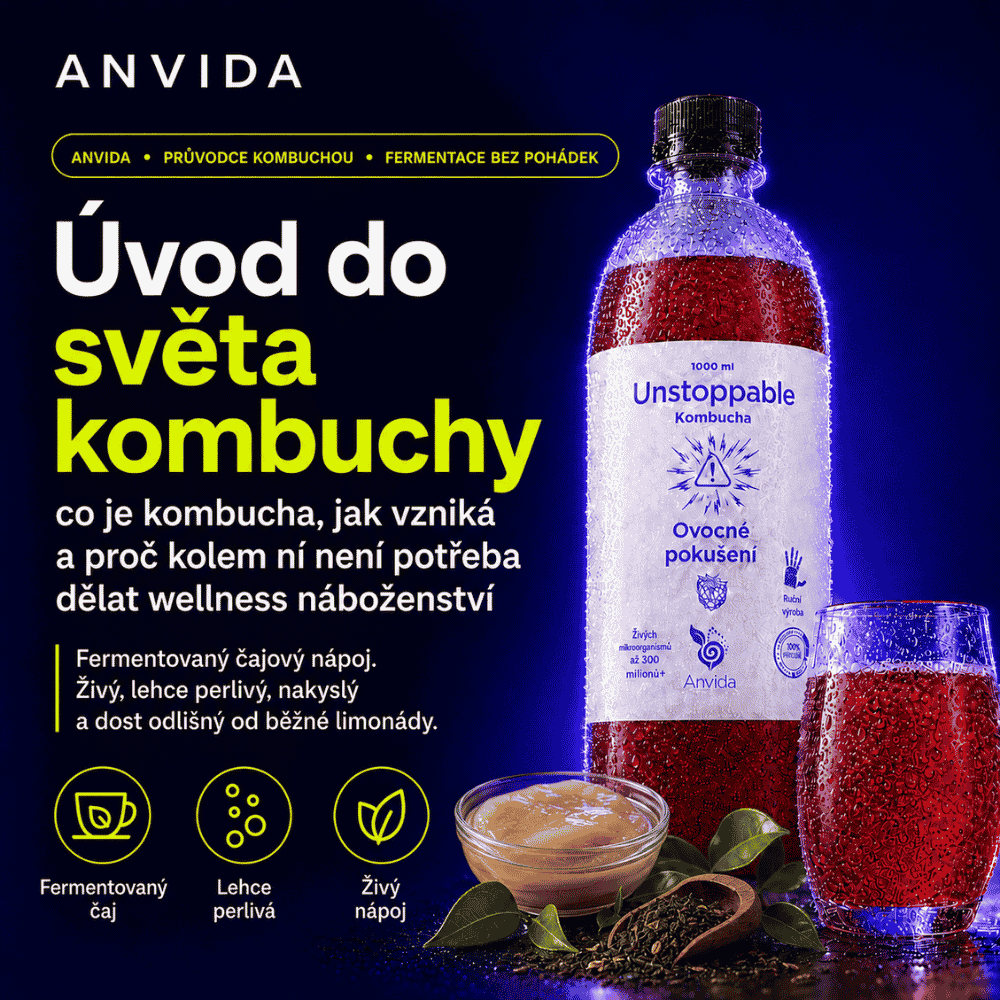 Co je kombucha: fermentovaný nápoj bez wellness pohádek