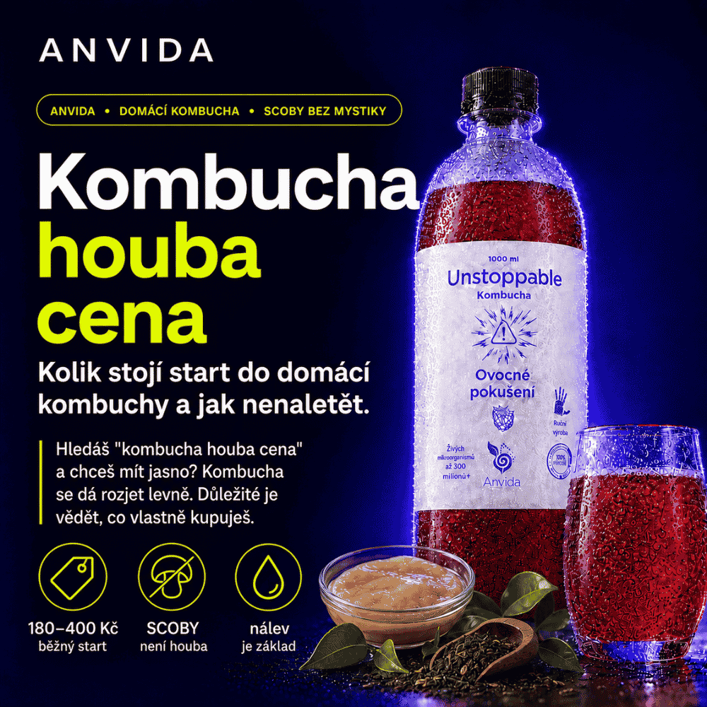 Kombucha houba SCOBY: cena, prodej a jak vybrat správně