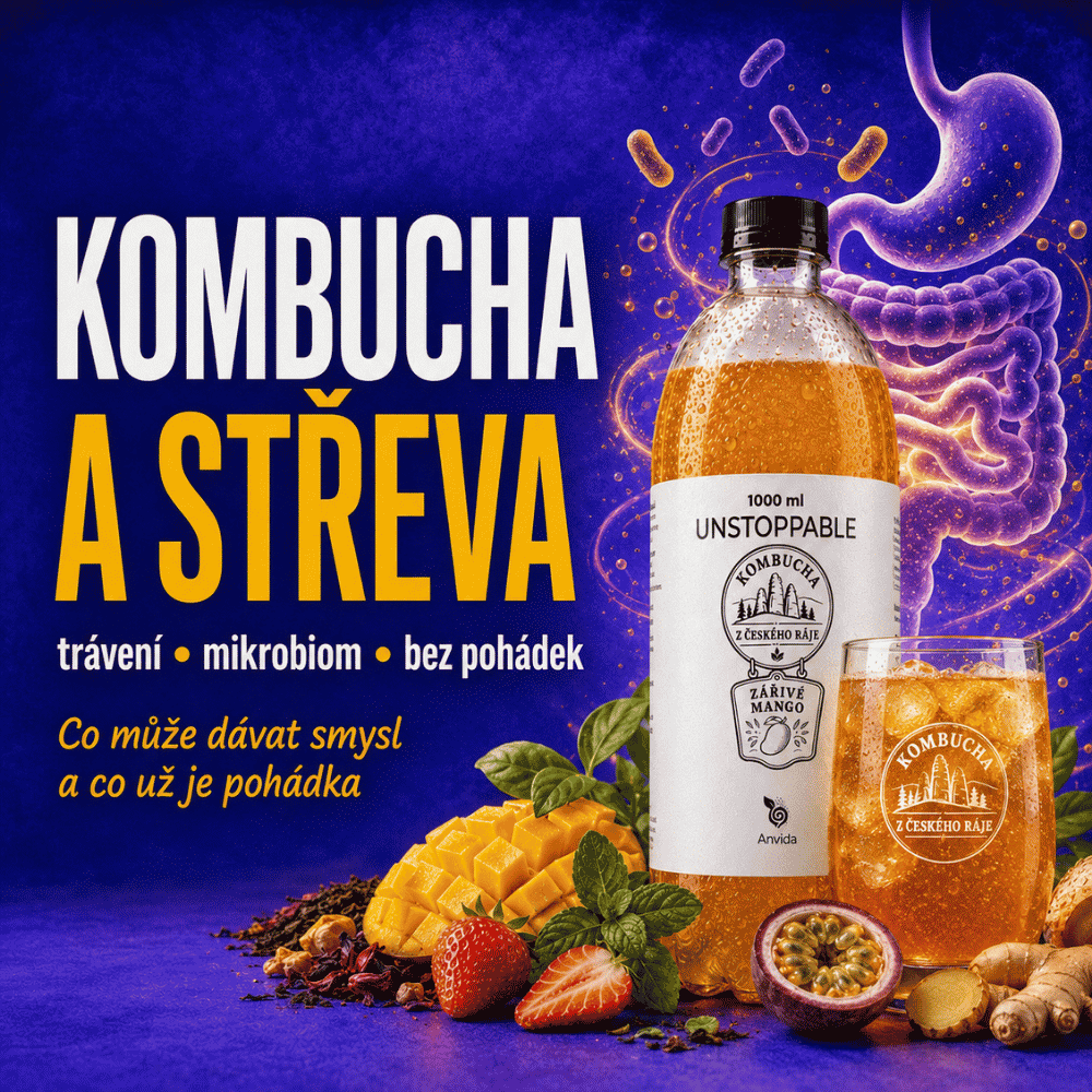 Kombucha a střeva: trávení, mikrobiom a realita