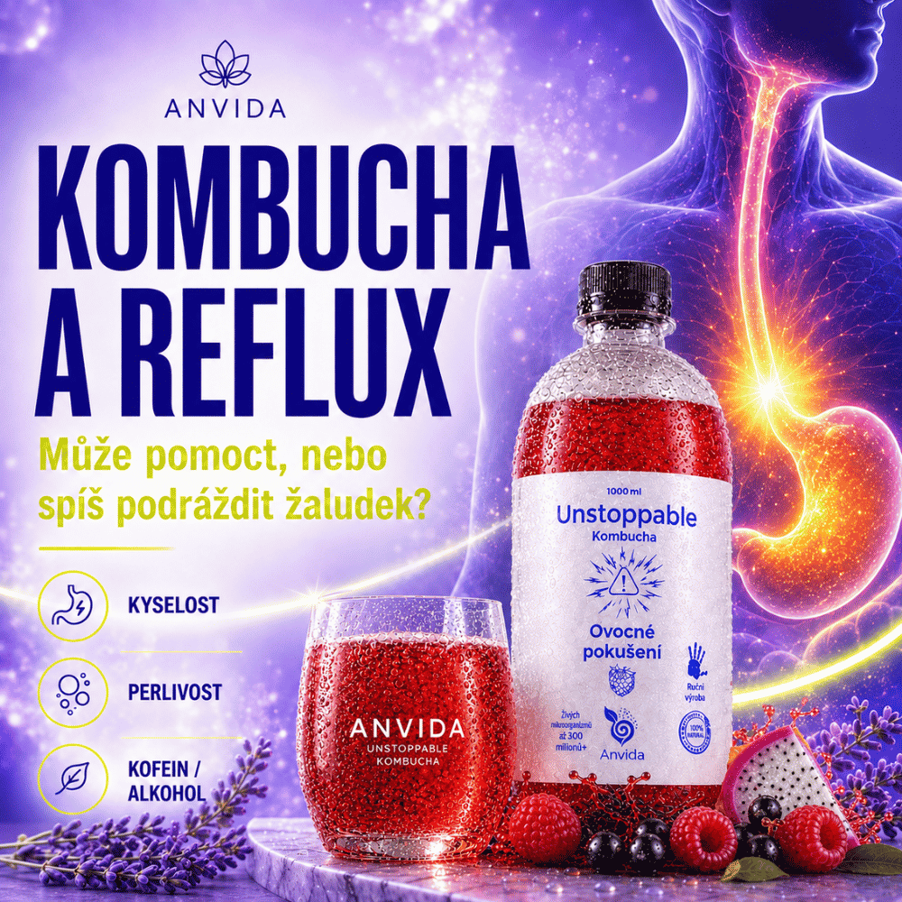 Může se pít kombucha při refluxu?