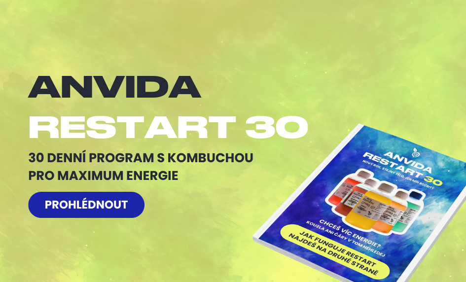 30 denní program s kombuchou