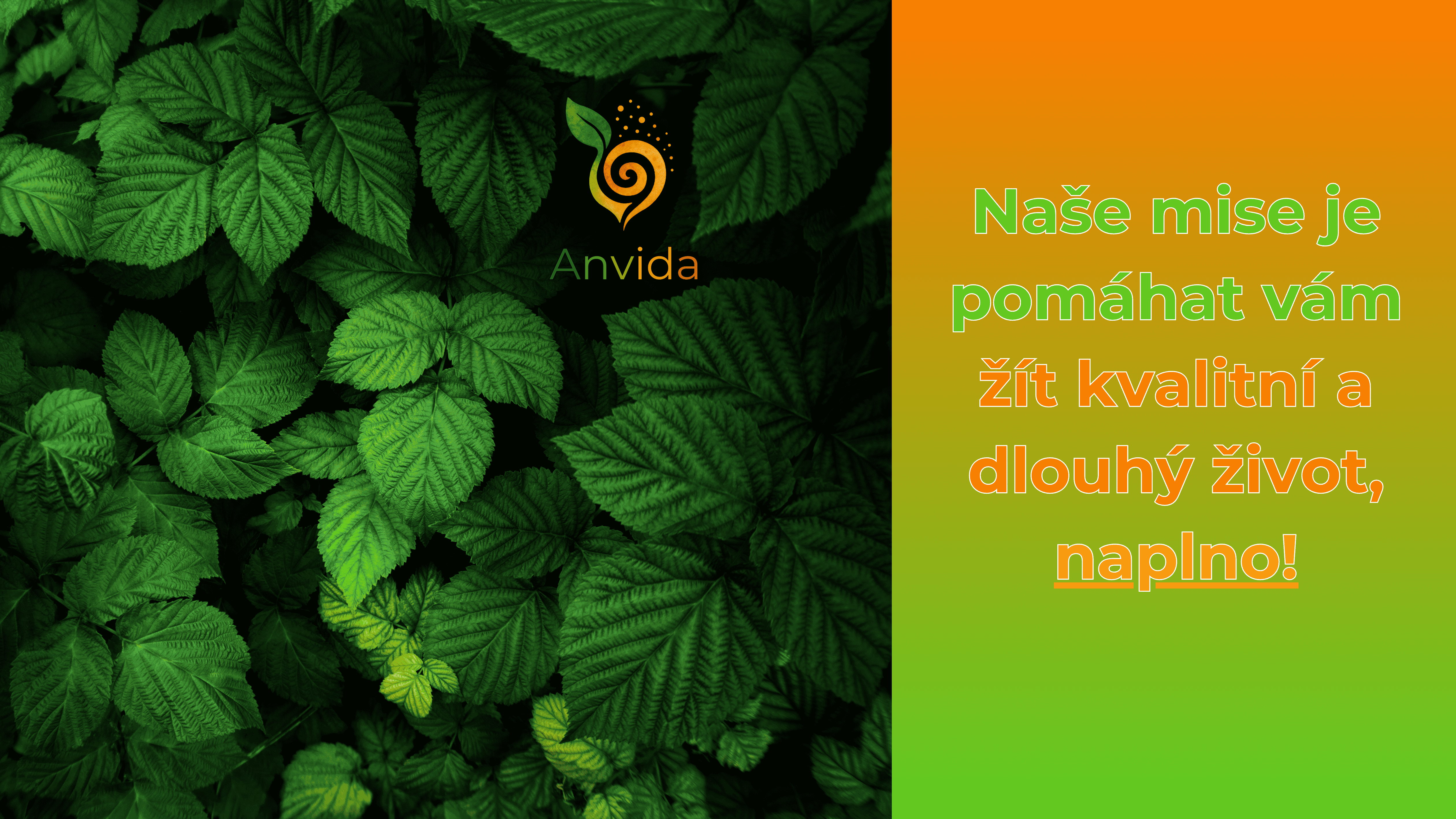 Anvida