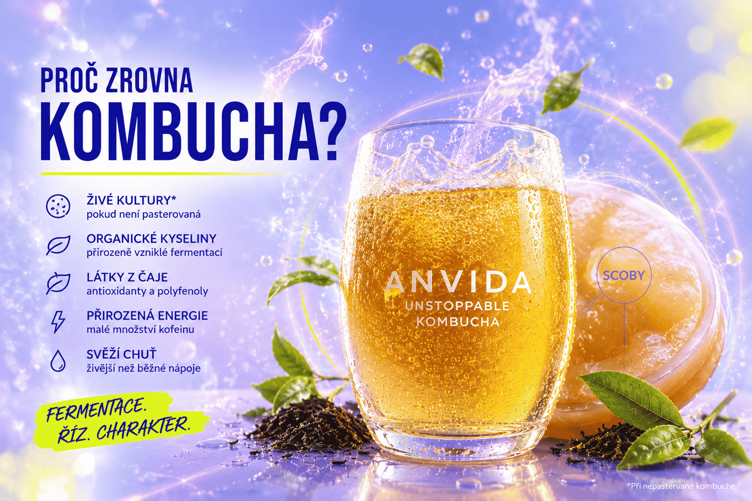 Kombucha po antibiotikách