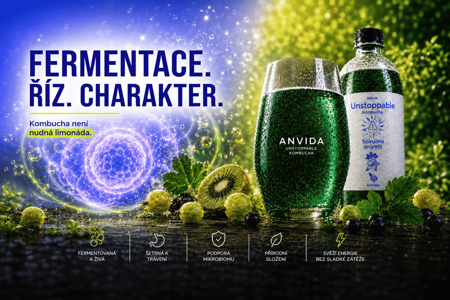 Kvalitní kombucha Anvida