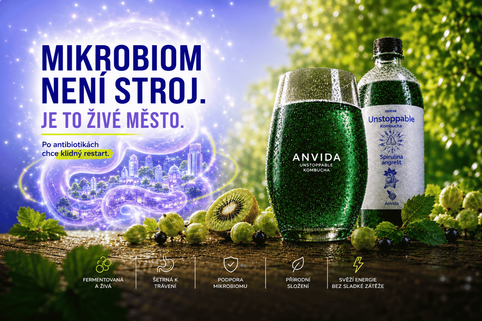Mikrobiom a kombucha