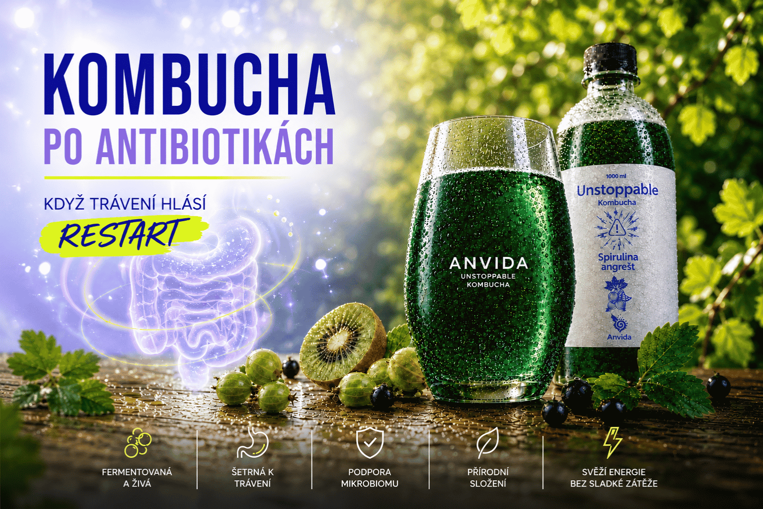 Kombucha a trávení po antibiotikách