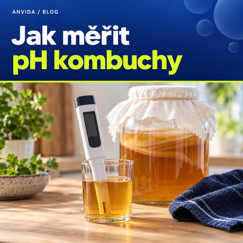 Jak měřit pH kombuchy – titulní ilustrace s měřidlem a vzorkem nápoje