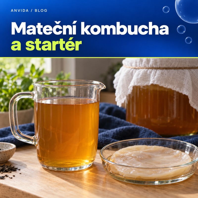 Mateční kombucha a startér – tekutina vedle celulózové blány