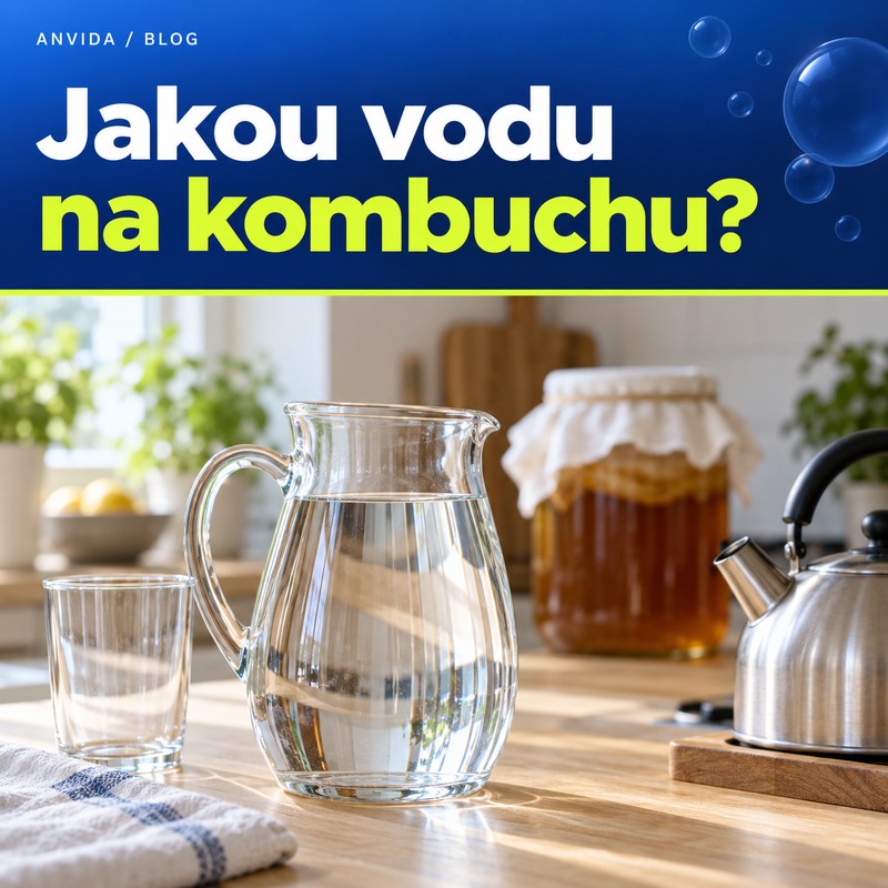 Jakou vodu na kombuchu – skleněný džbán a konvice