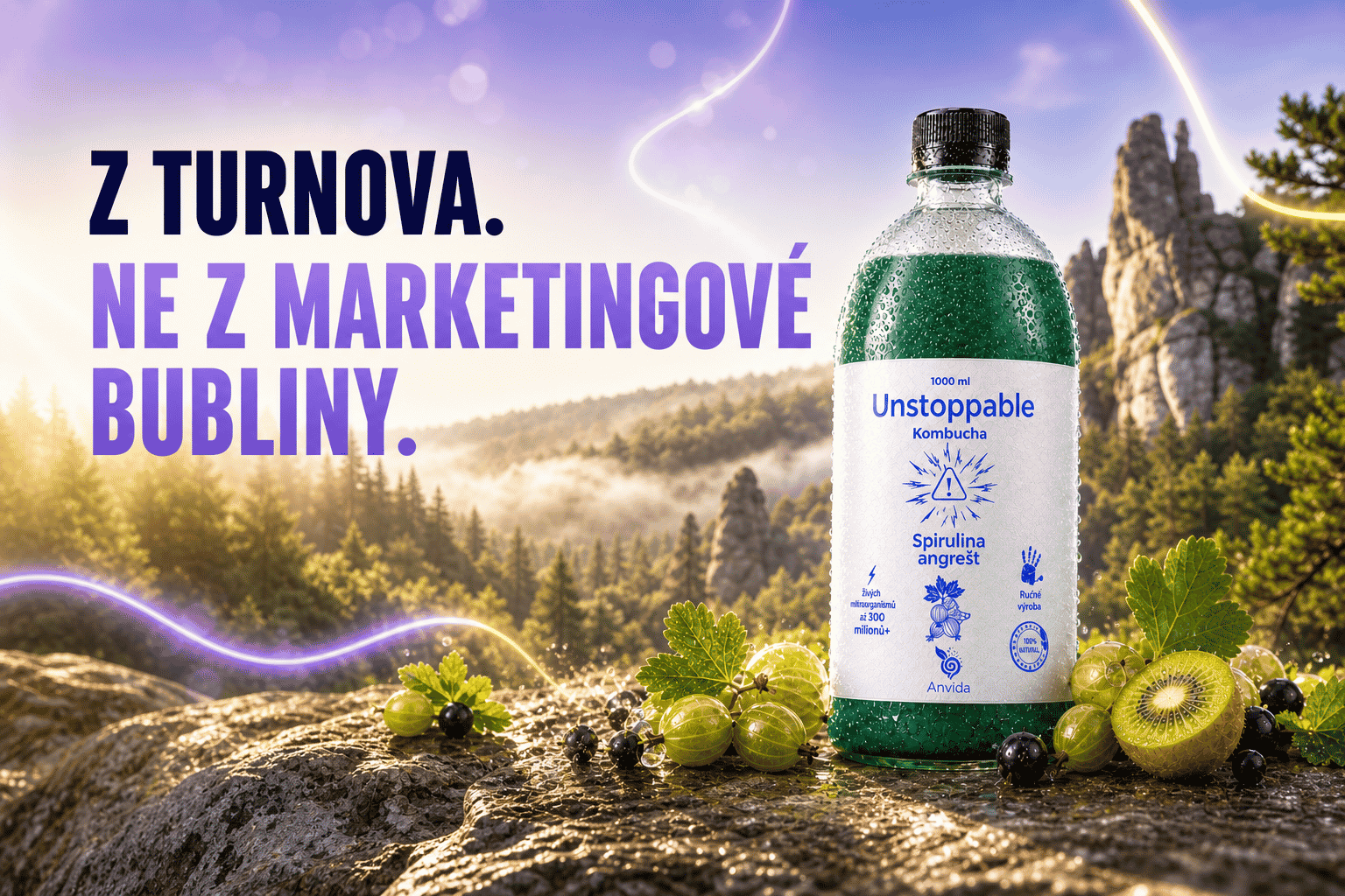 RAW kombucha Anvida
