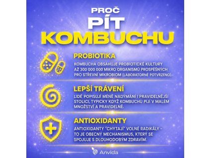 Kombucha mango citrusy Anvida Unstoppable 1L — RAW kombucha koupit