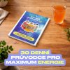 Anvida RESTART 30 - 30denní program s kombuchou pro více energie