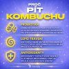 proc kombu(1)web
