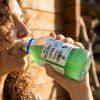 Anvida kombucha hero shot