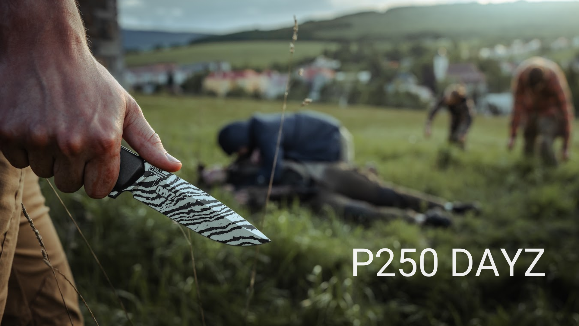 P250 DAYZ