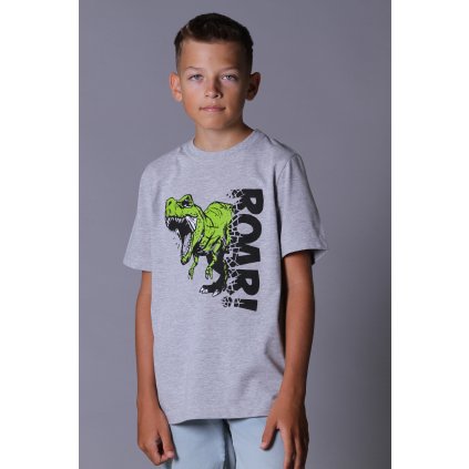 Chlapecké tričko krátký rukáv ROAR šedý melír
