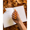 Pumpkin Spice AnyNails.cz 3