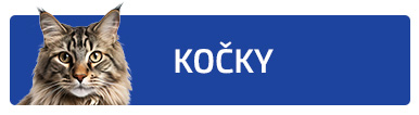 Potřeby pro kočky