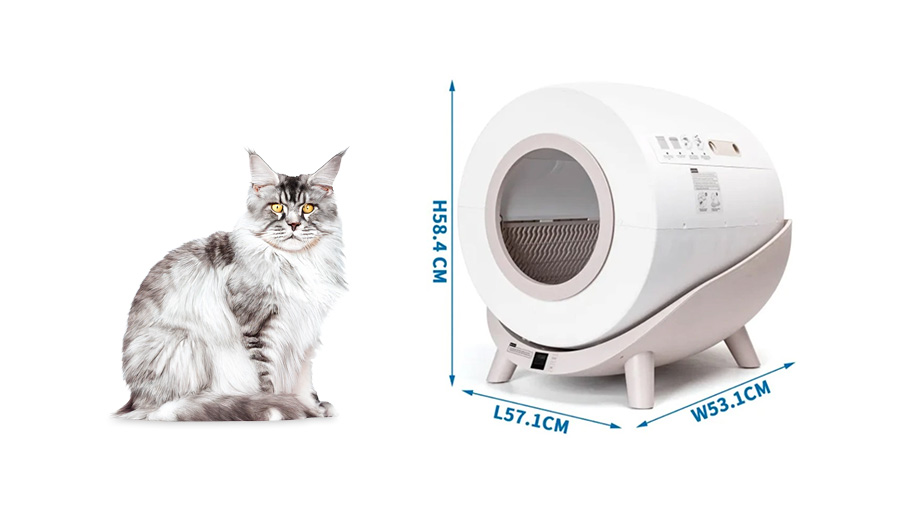 Jak vybrat správnou velikost kočičího záchodku