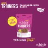 schesir dog trainers slaninové pamlsky 113g (1)