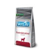 Farmina Vet Life Dog Gastrointestinal 2kg