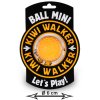 Kiwi Walker Lopta Mini - oranžová 6cm