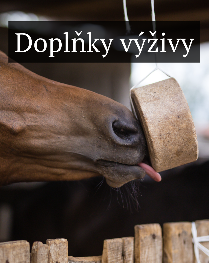 Doplňky výživy