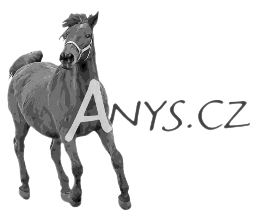 Anys.cz