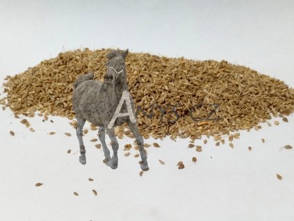 Anýz 1 kg