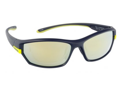 HEAD - 14002 - 640 - GREY POLARIZED / GOLD MIRROR + CLEAR