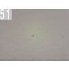 20230427 132303 b