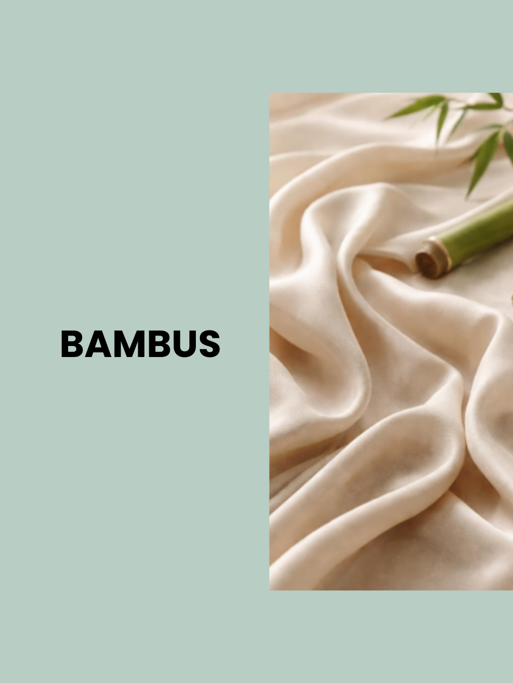 Bambus – hrdina mezi materiály