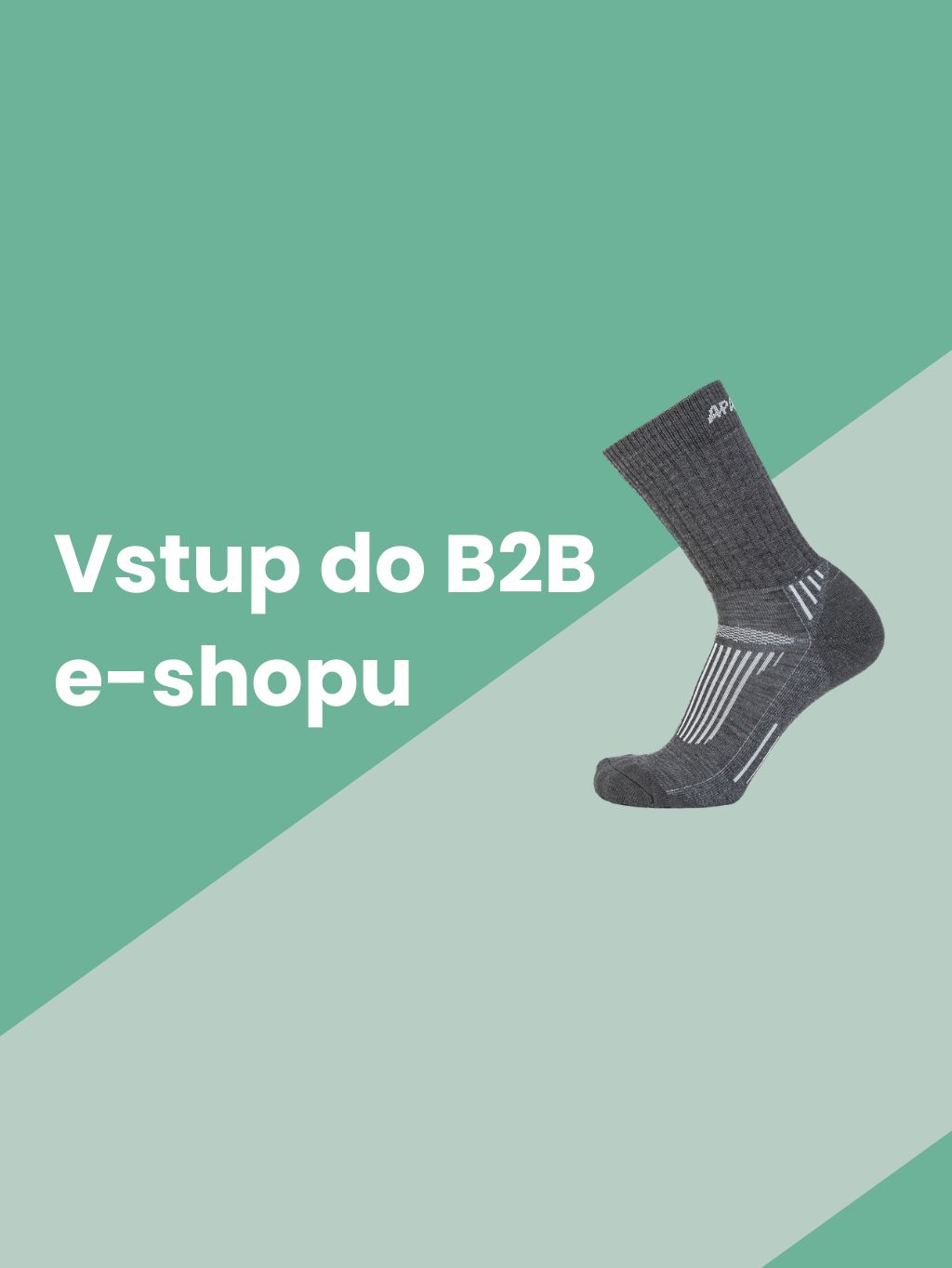Vstup do B2B e-shopu
