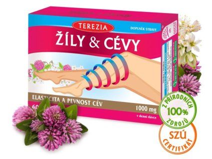 žíly cévy