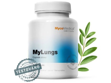 e61a8774 c367 45fb 8c22 8c2ec415aa73