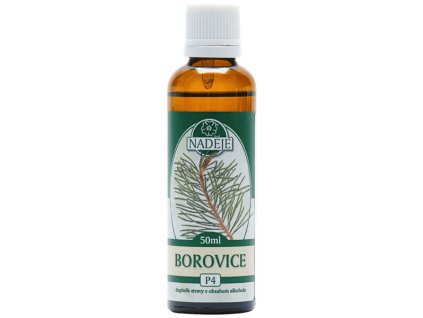 borovice